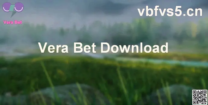 Vera Bet aplicativo interface e download seguro